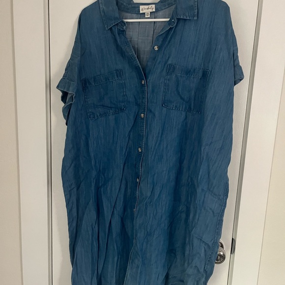 Wonderly Blue Denim Dress - Picture 2 of 6